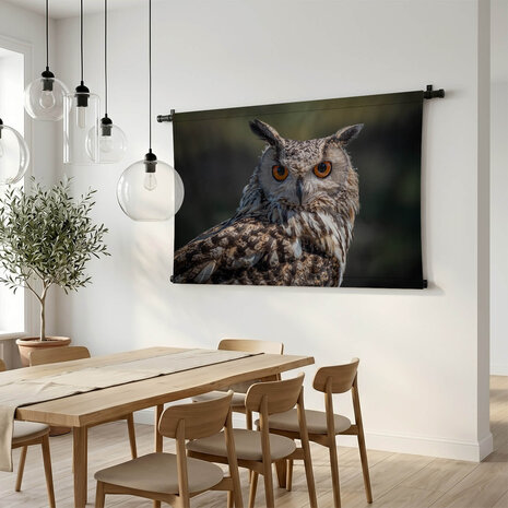 Oog-in-oog met prachtige uil