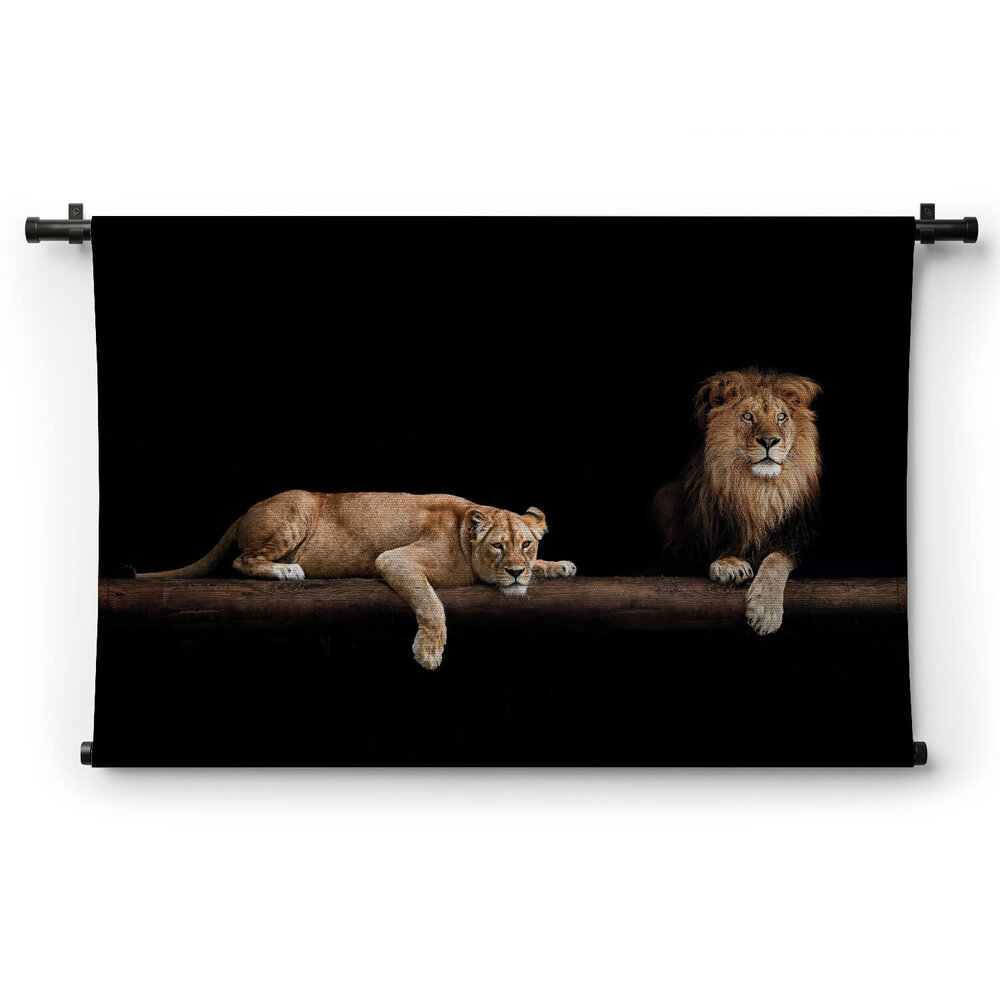 Leeuw en leeuwin rustig liggend