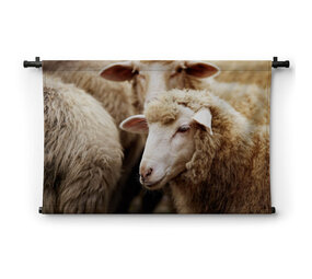 Tussen de schapen
