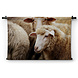 Tussen de schapen