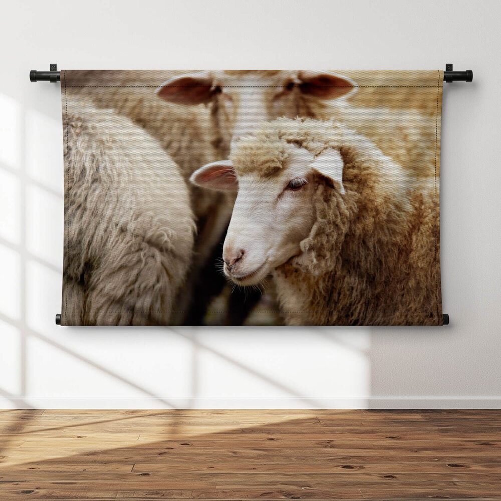 Tussen de schapen