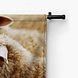 Tussen de schapen