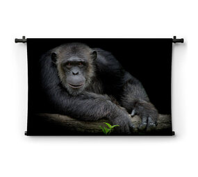 Vrolijke chimpansee leunend op zijn arm