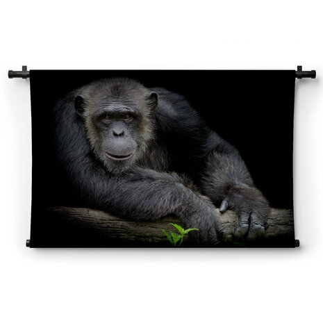 Vrolijke chimpansee leunend op zijn arm