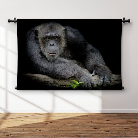 Vrolijke chimpansee leunend op zijn arm