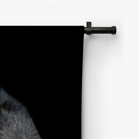 Vrolijke chimpansee leunend op zijn arm