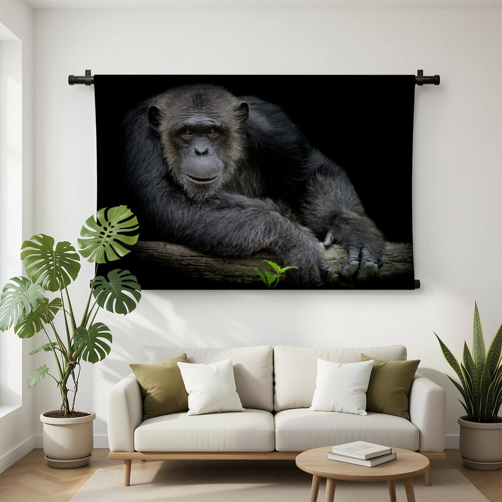 Vrolijke chimpansee leunend op zijn arm