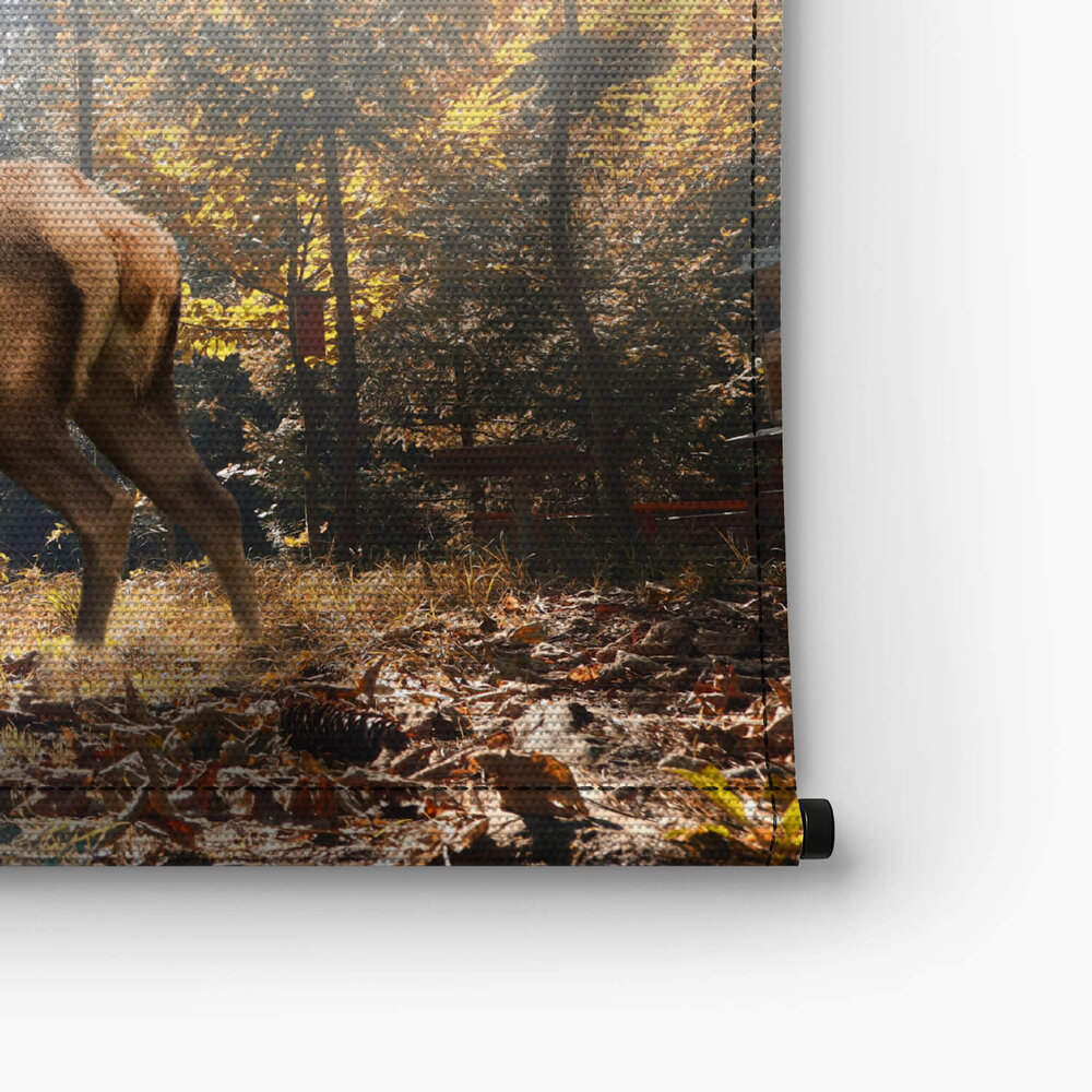 Trots hert in het herfstbos