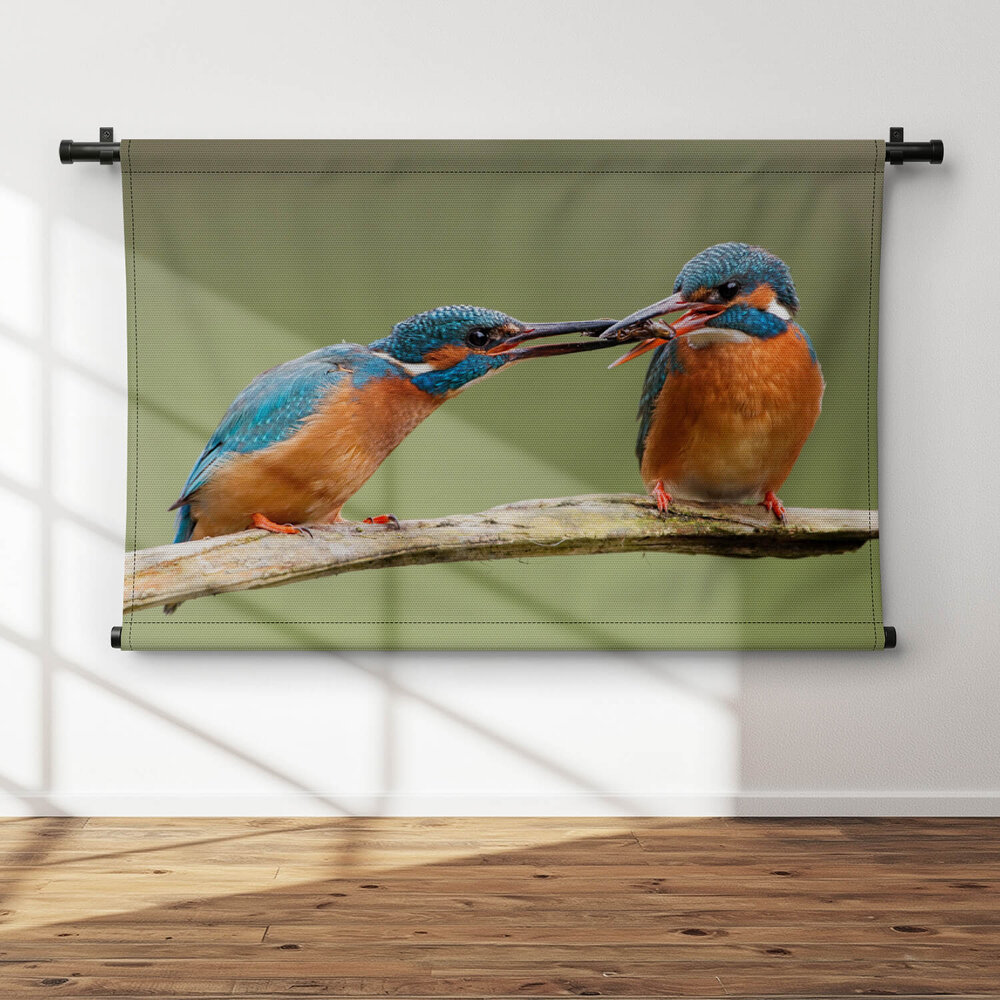 Schitterende ijsvogels in het groen