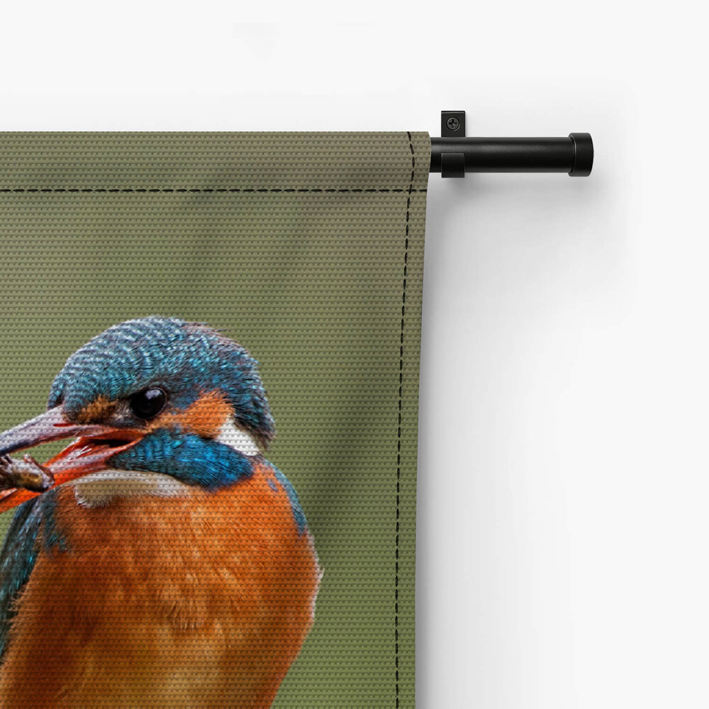 Schitterende ijsvogels in het groen