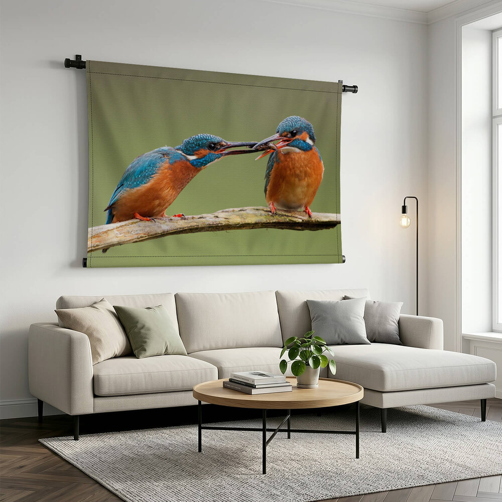 Schitterende ijsvogels in het groen