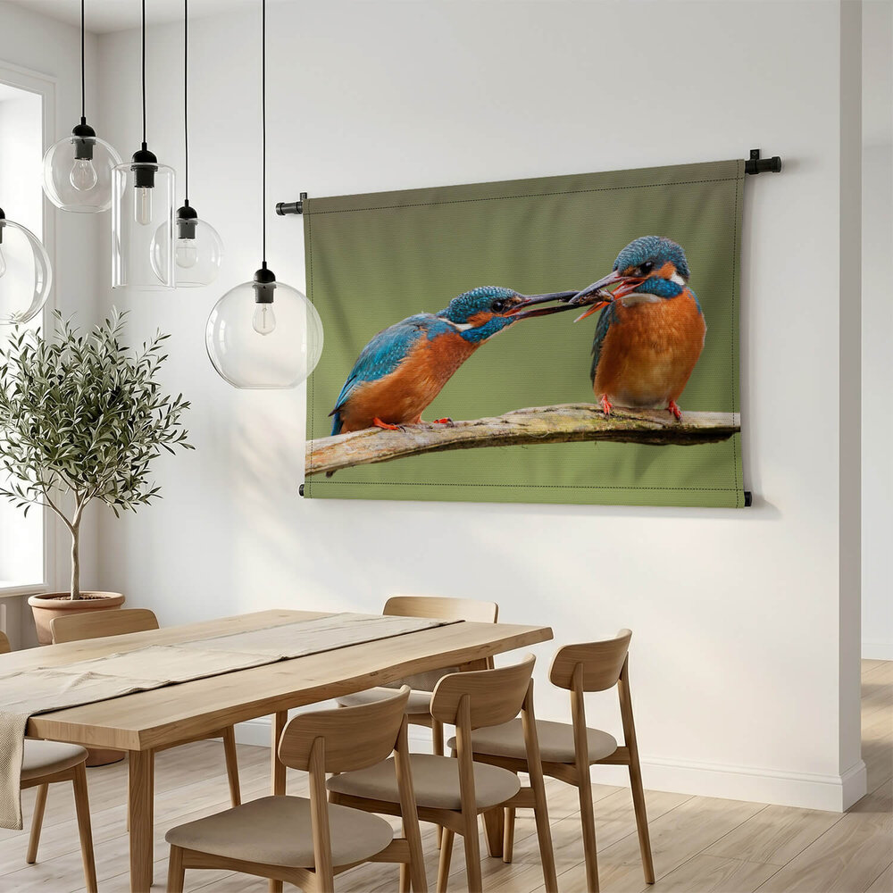 Schitterende ijsvogels in het groen
