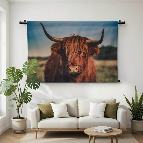 Schotse hooglander in het wild