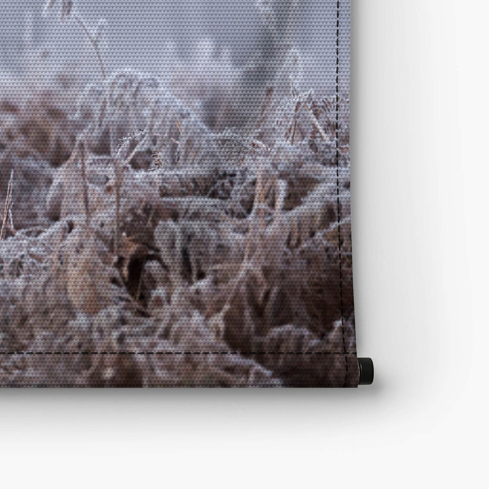 Close-up van een edelhert in de winter