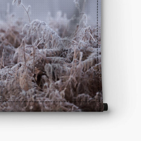 Close-up van een edelhert in de winter
