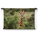 Close-up van giraffe in een national park in Zuid-Afrika