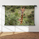 Close-up van giraffe in een national park in Zuid-Afrika
