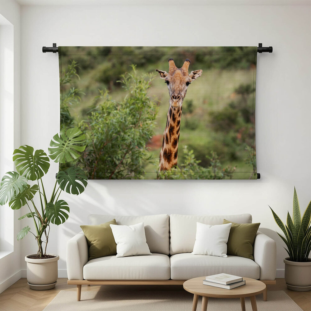 Close-up van giraffe in een national park in Zuid-Afrika