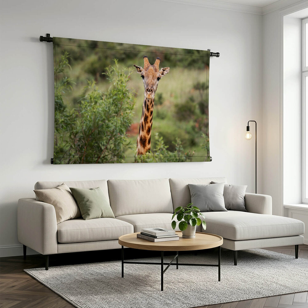 Close-up van giraffe in een national park in Zuid-Afrika