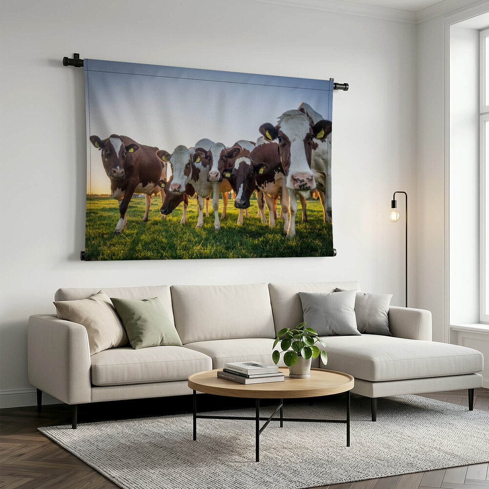 Nieuwsgierige Hollandse koeien