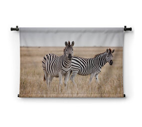 Sierlijke zebra's op de savanne