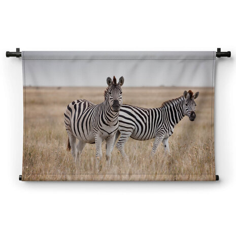 Sierlijke zebra's op de savanne