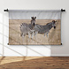 Sierlijke zebra's op de savanne