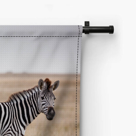 Sierlijke zebra's op de savanne