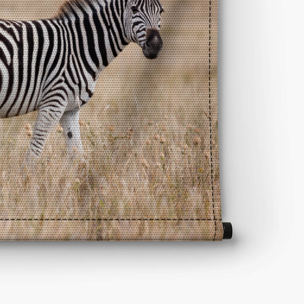 Sierlijke zebra's op de savanne