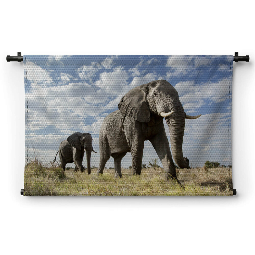 Passerende olifant groot in beeld