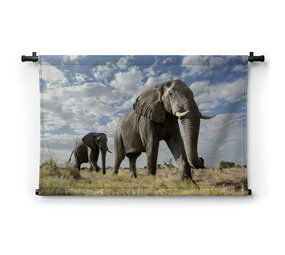 Passerende olifant groot in beeld