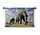 Passerende olifant groot in beeld