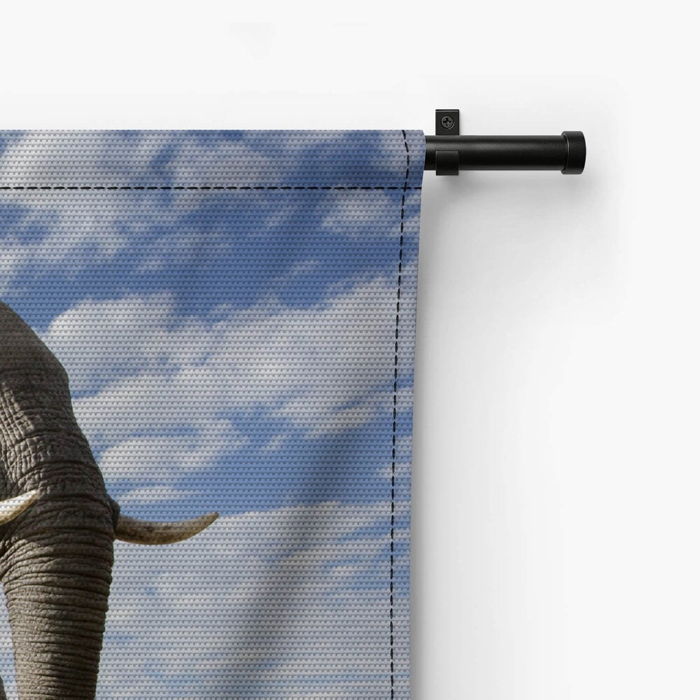 Passerende olifant groot in beeld