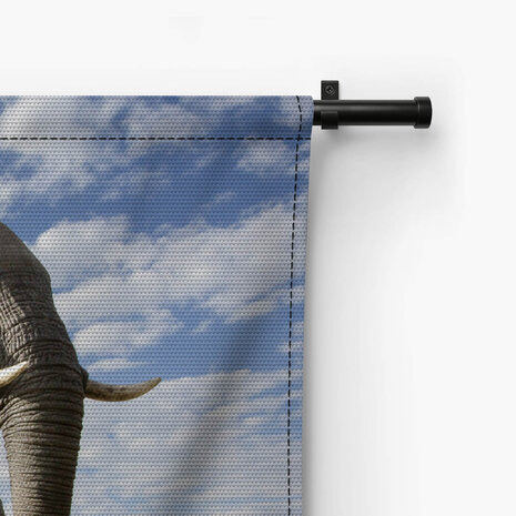 Passerende olifant groot in beeld