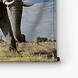 Passerende olifant groot in beeld