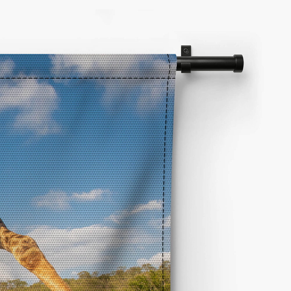 Knappe drinkpose van de giraffe