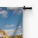 Knappe drinkpose van de giraffe