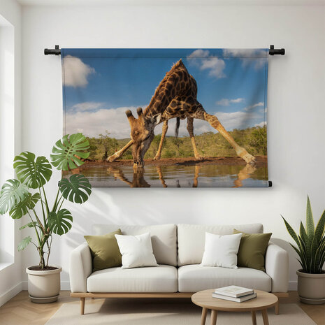 Knappe drinkpose van de giraffe