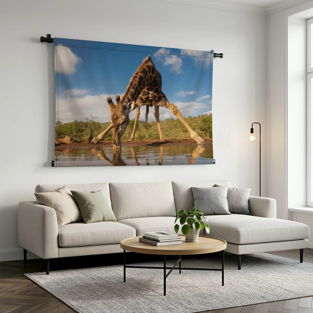 Knappe drinkpose van de giraffe