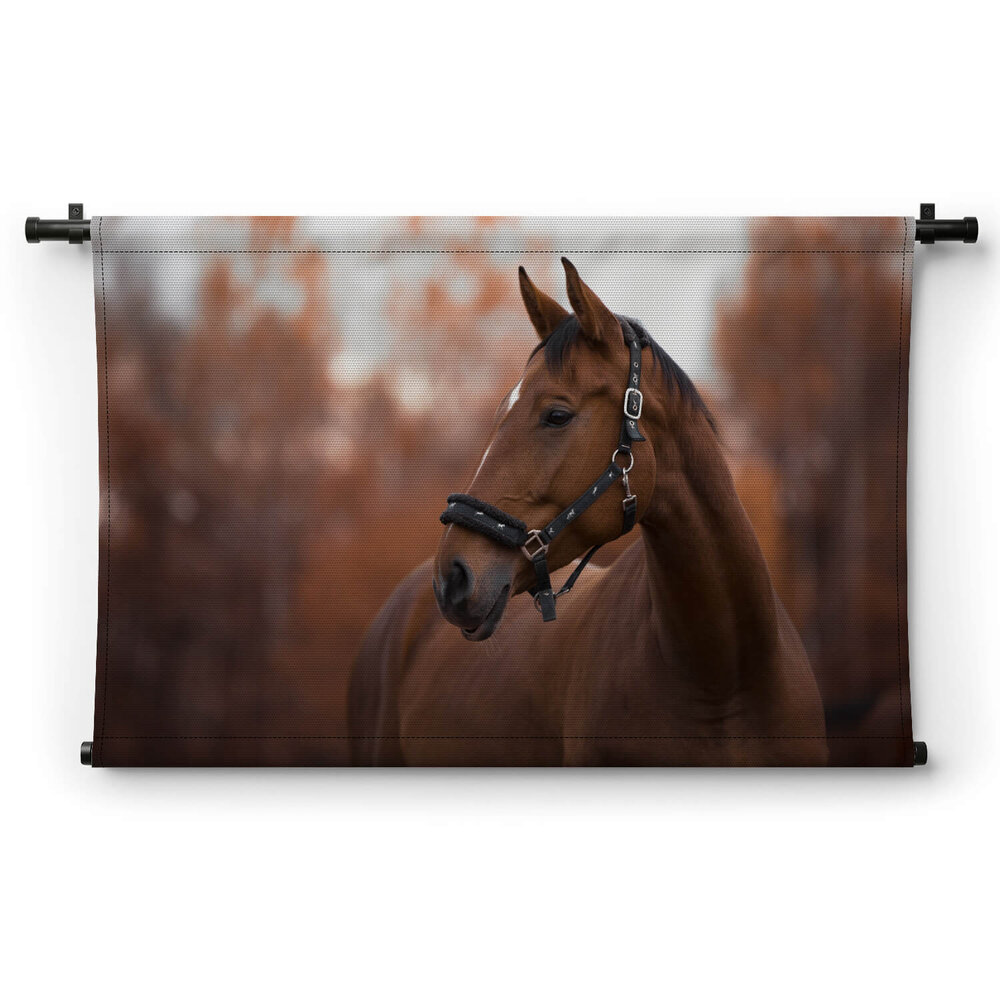 Portret van mooie merrie paard in de avond