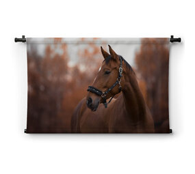 Portret van mooie merrie paard in de avond