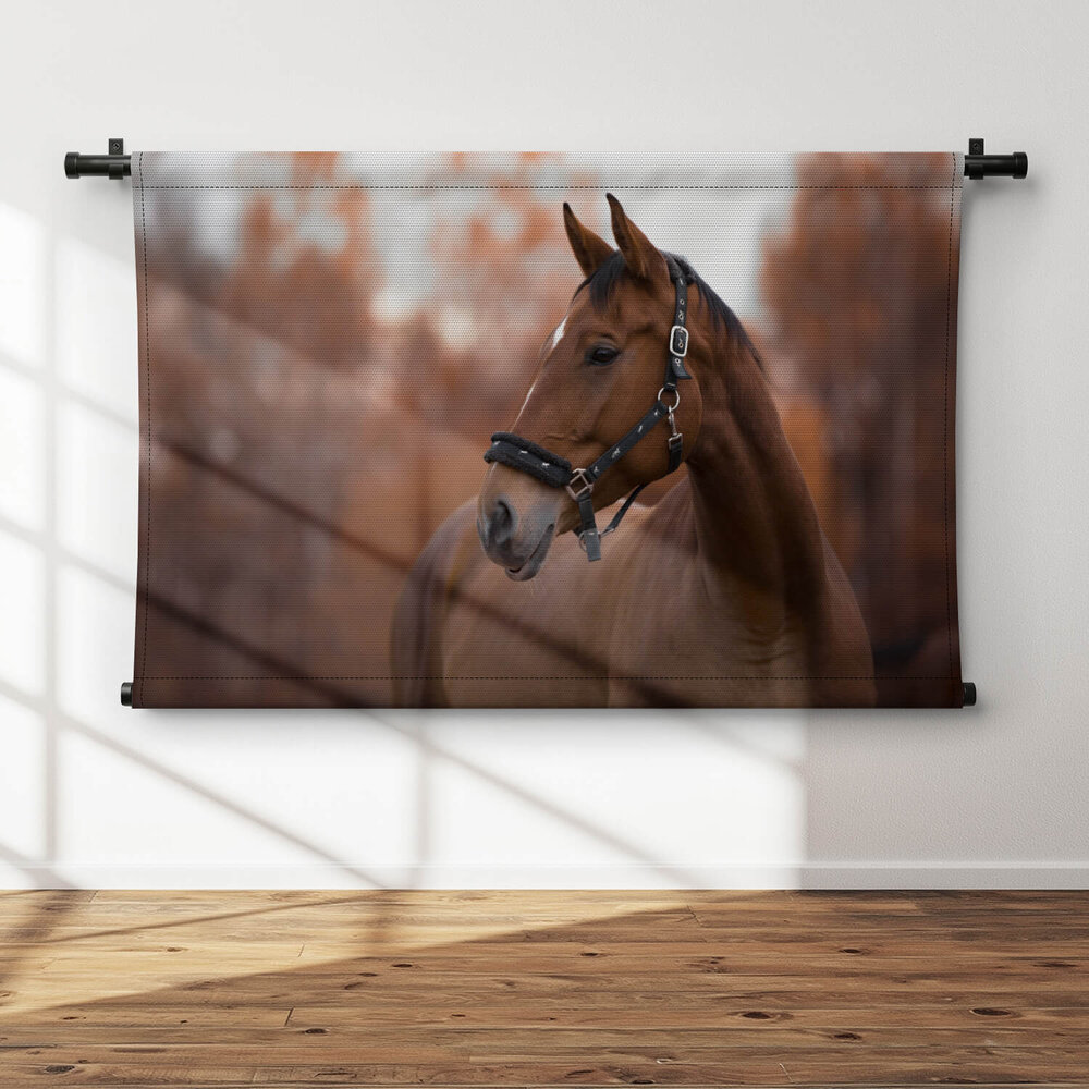 Portret van mooie merrie paard in de avond