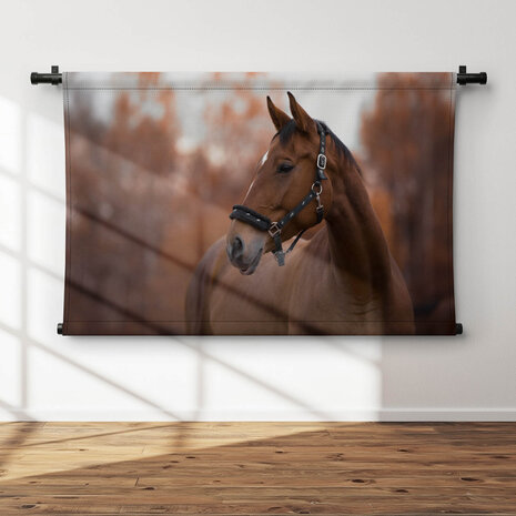 Portret van mooie merrie paard in de avond