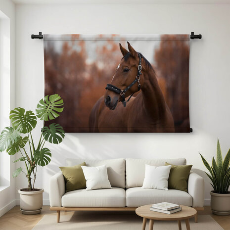 Portret van mooie merrie paard in de avond