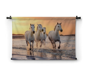 Witte paarden aan zee