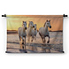 Witte paarden aan zee