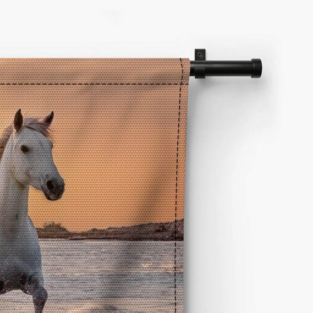Witte paarden aan zee