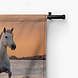Witte paarden aan zee