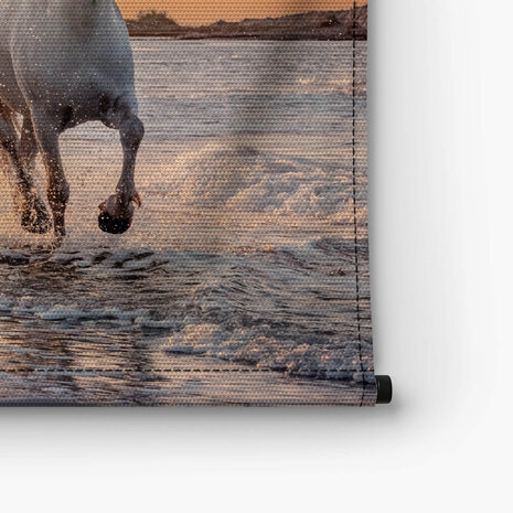 Witte paarden aan zee