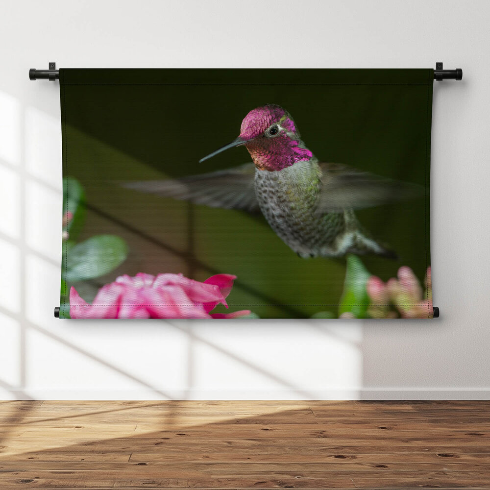 Kolibrie zwevend bij roze bloemen